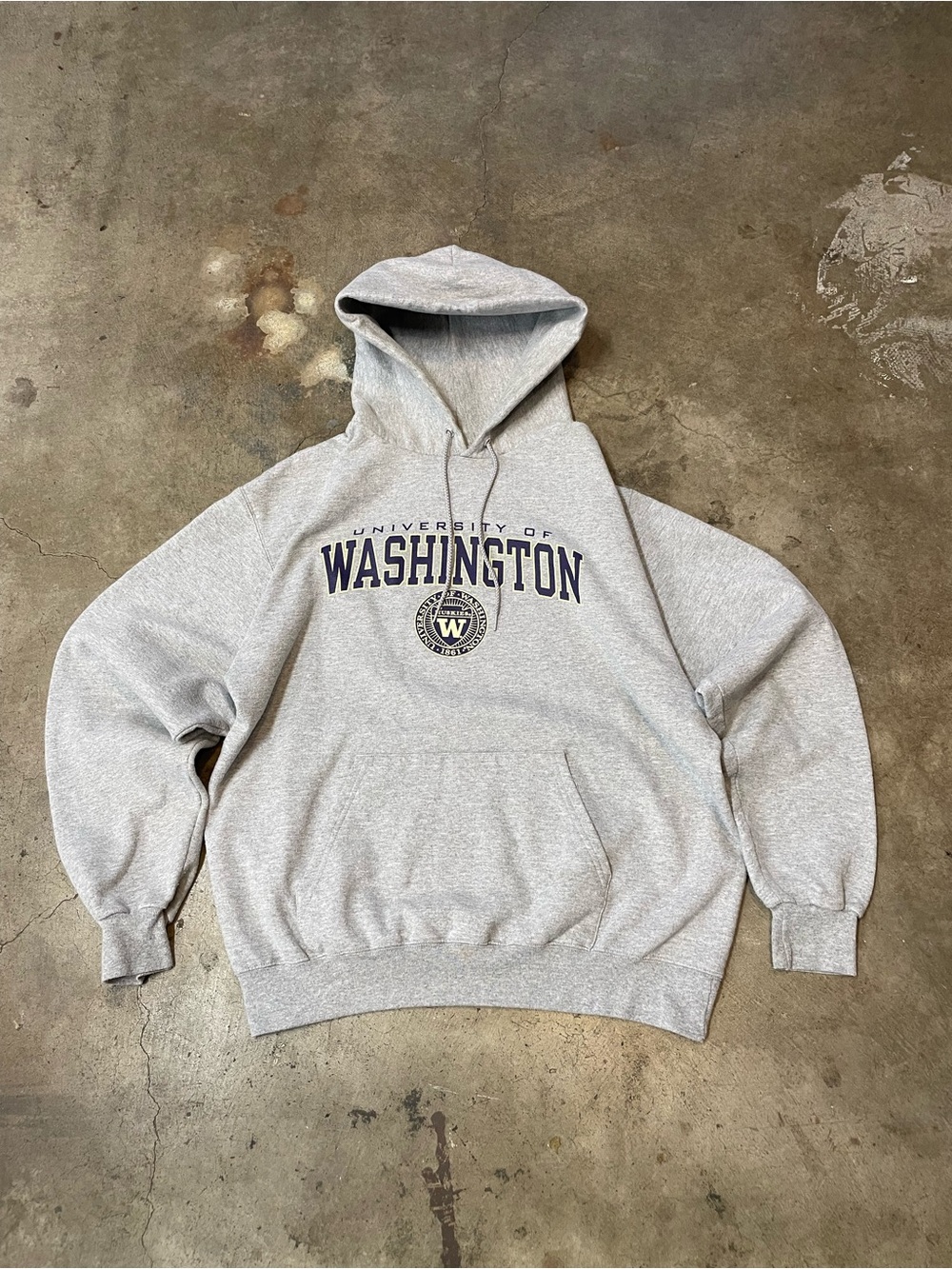 Champion University of Washington Hoodie